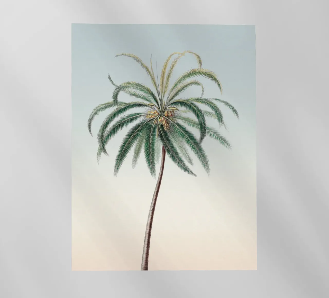Palm Tree Sunset pellicola backlit da apoloprints