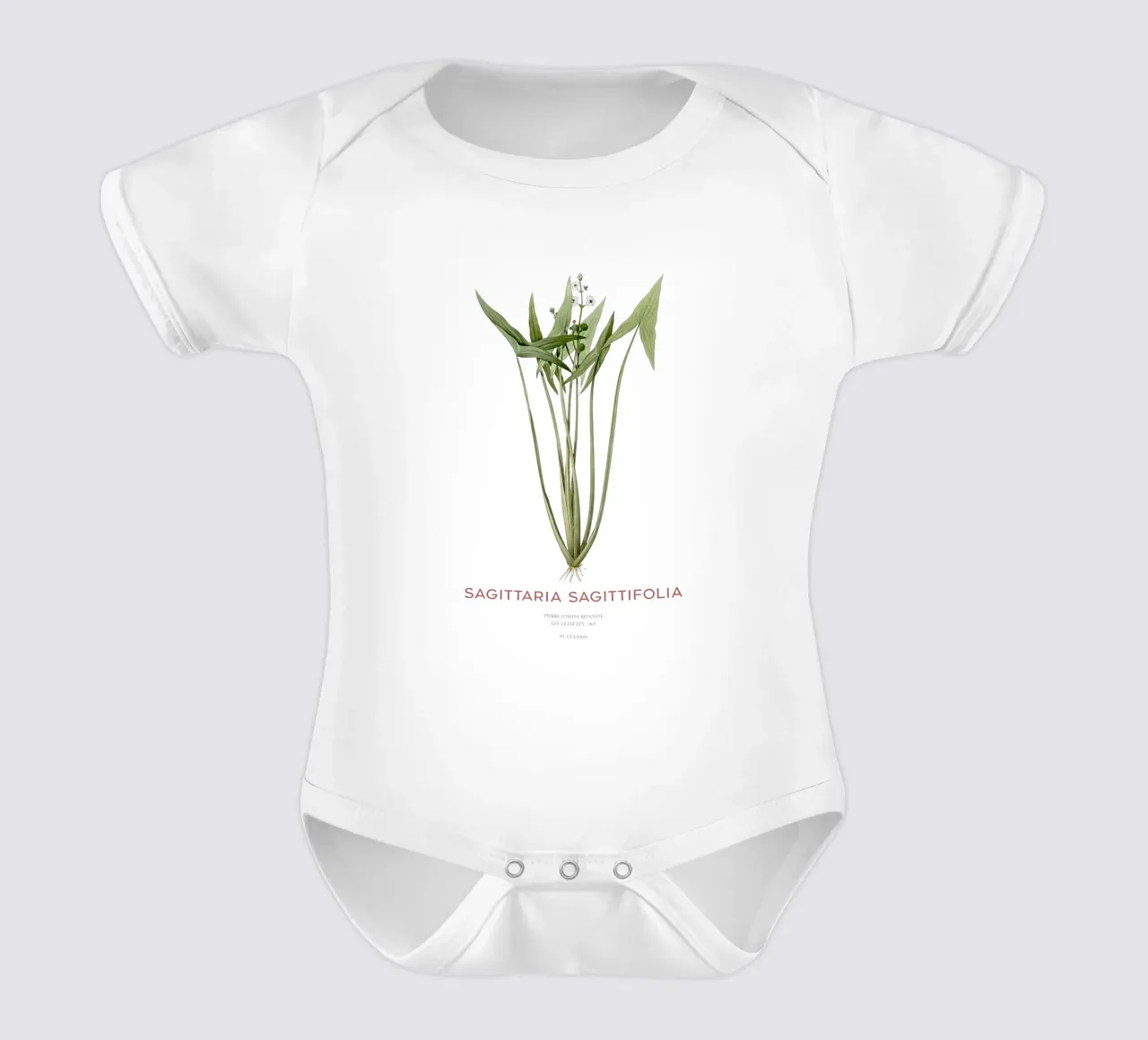 Pfeilkraut oder Sagittaria sagittifolia Kurzarm Babybody von Vintagrafica