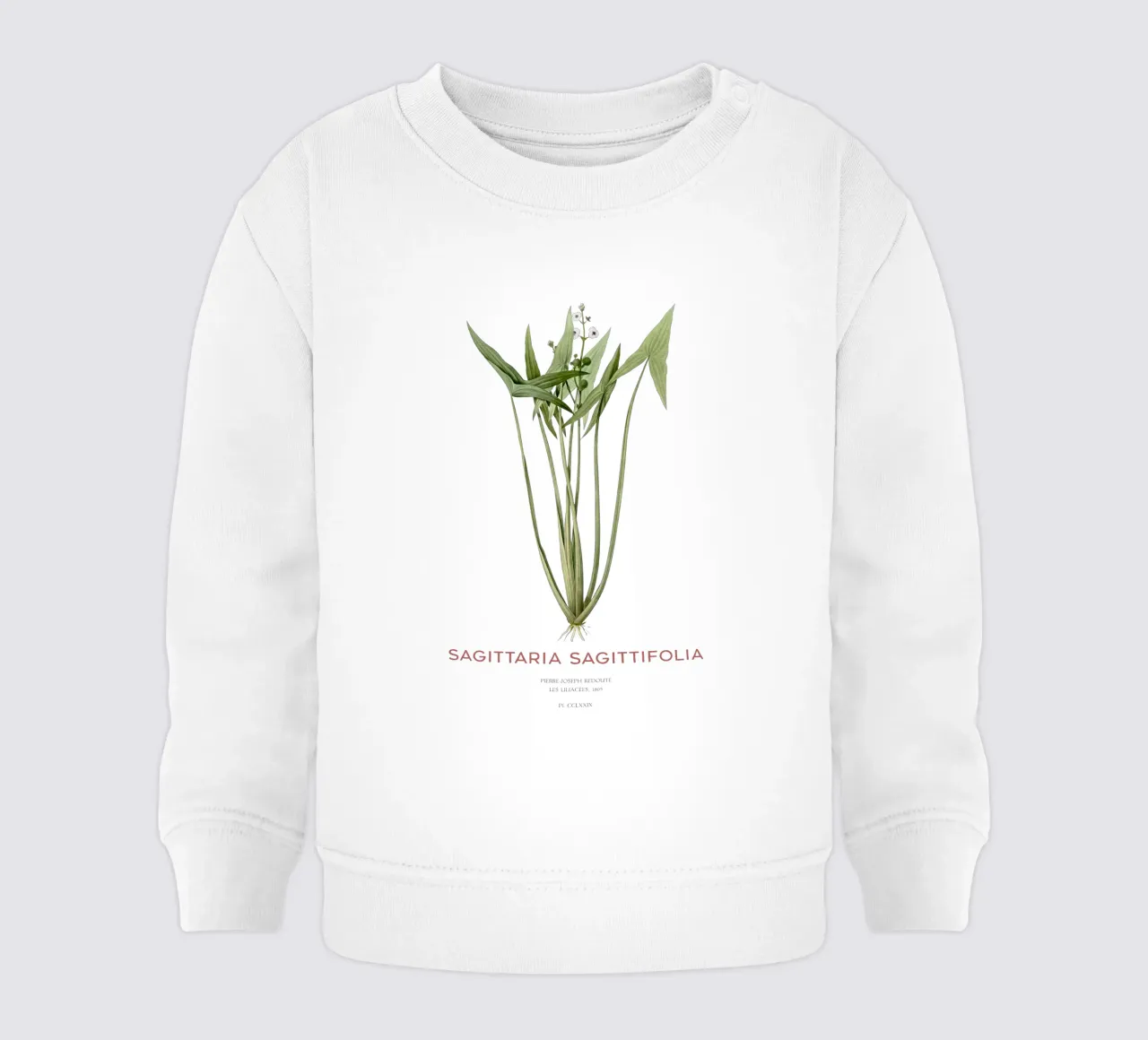 Pianta della testa di freccia o Sagittaria sagittifolia felpa neonato da Vintagrafica