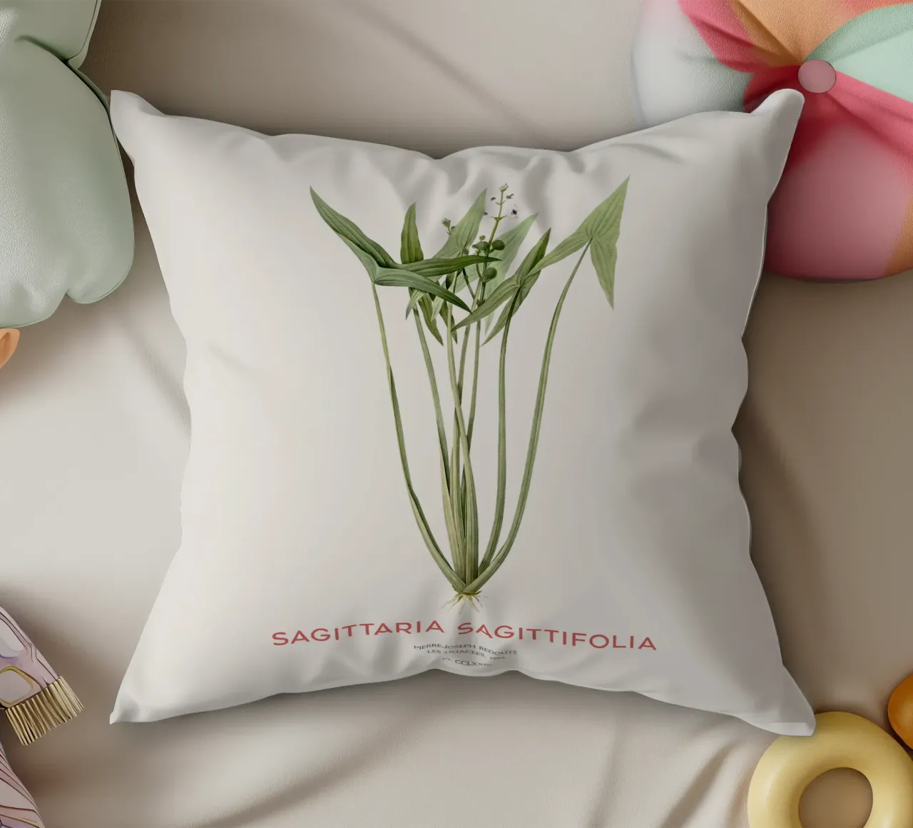 Arrowhead plant or Sagittaria sagittifolia decorative cushion by Vintagrafica