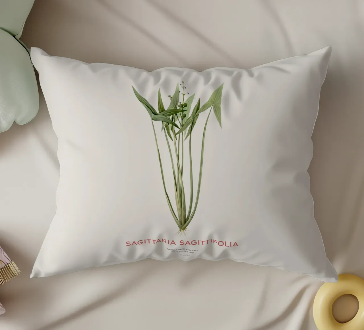 Arrowhead plant or Sagittaria sagittifolia decorative cushion by Vintagrafica
