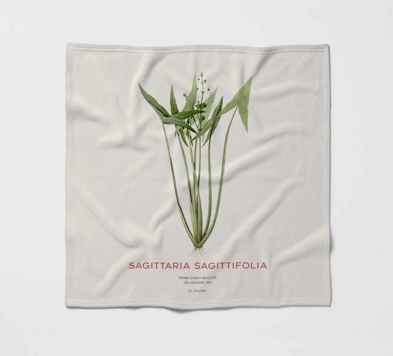 Pfeilkraut oder Sagittaria sagittifolia Fleecedecke von Vintagrafica