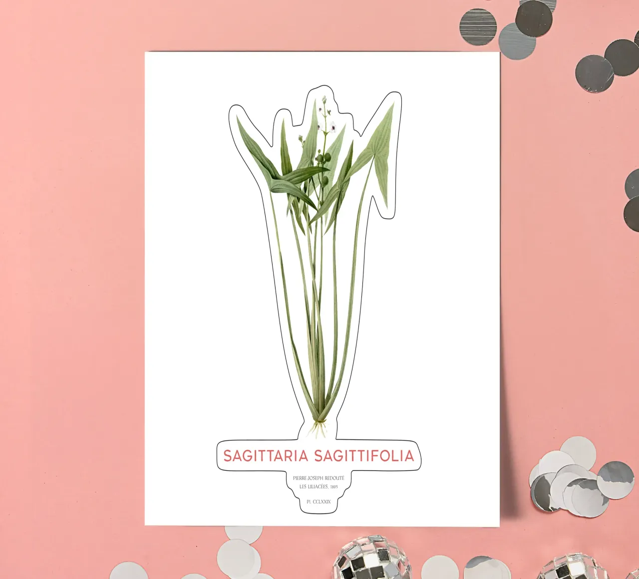 Pfeilkraut oder Sagittaria sagittifolia Stickerbogen von Vintagrafica