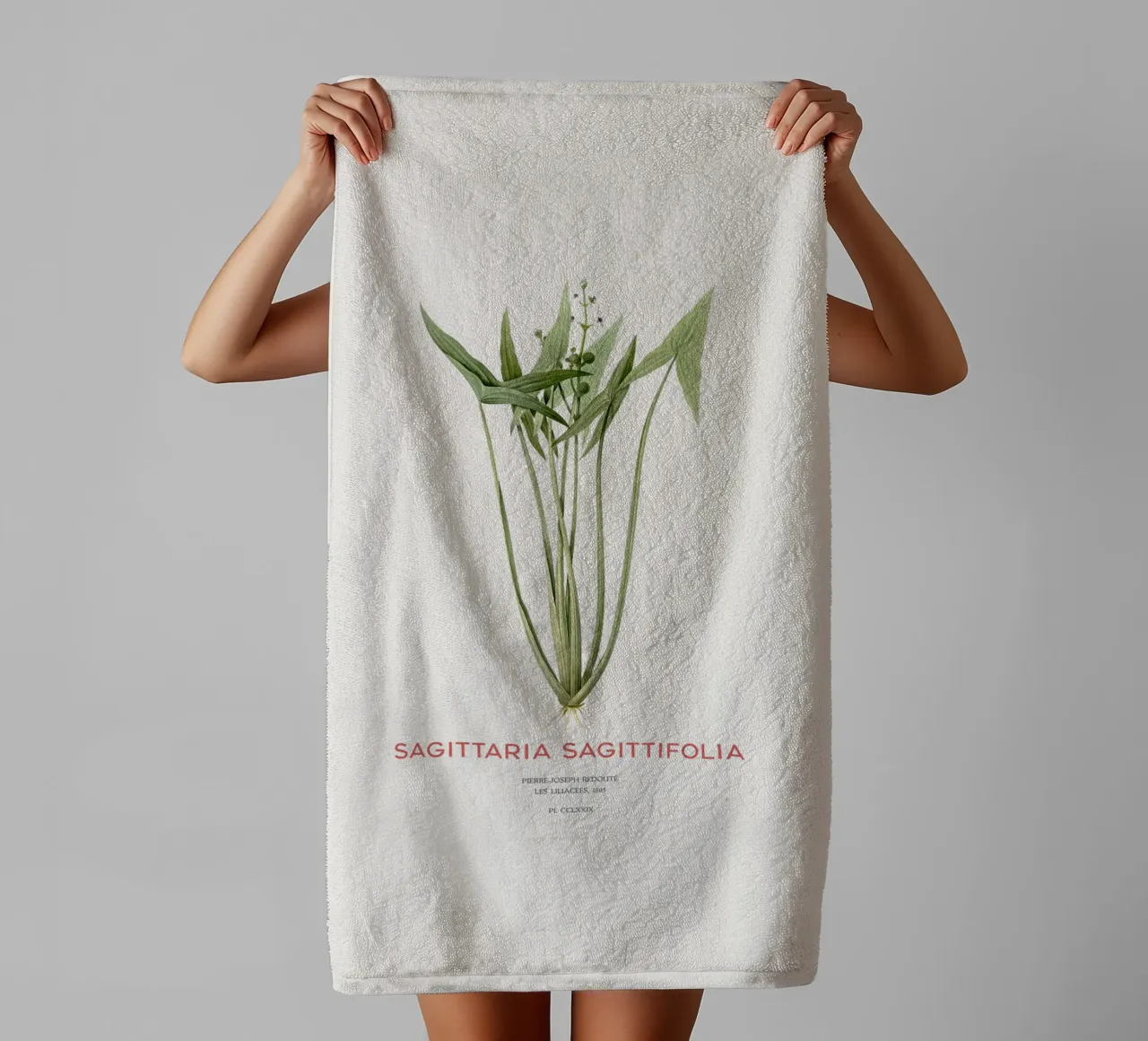 Pfeilkraut oder Sagittaria sagittifolia Handtuch von Vintagrafica