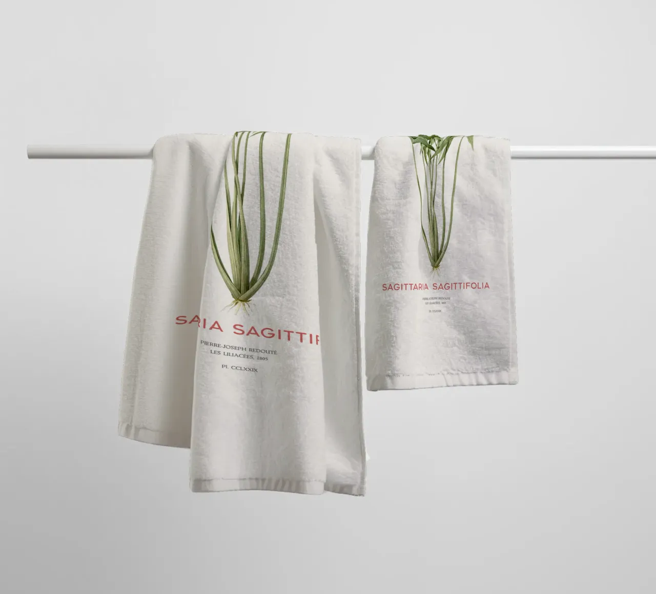 Pfeilkraut oder Sagittaria sagittifolia Handtuch von Vintagrafica