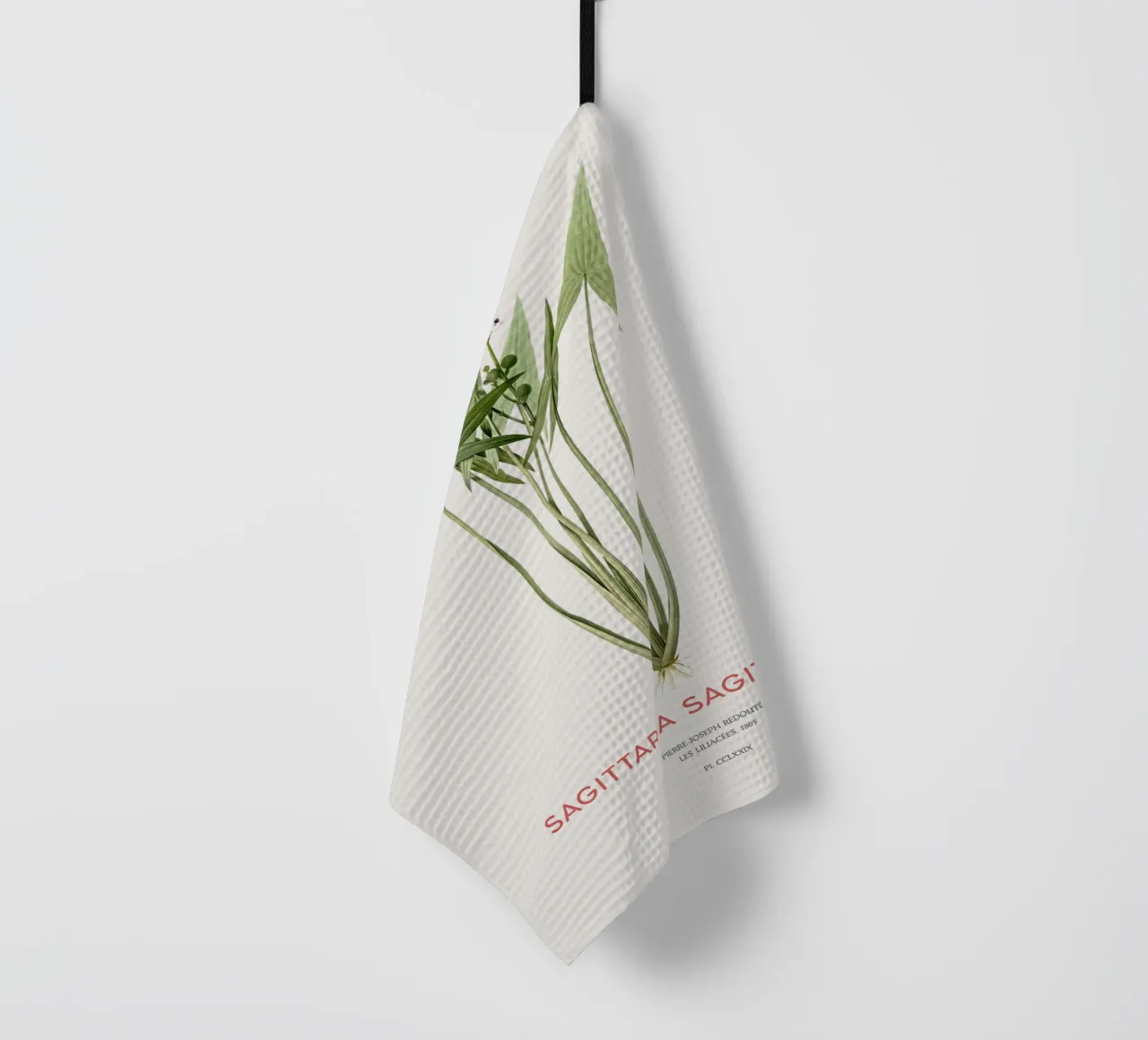 Pfeilkraut oder Sagittaria sagittifolia Geschirrtuch von Vintagrafica