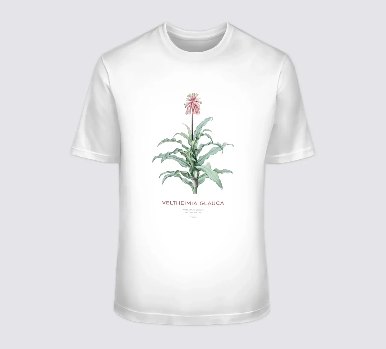 Giglio di bosco o Veltheimia glauca t-shirt da Vintagrafica