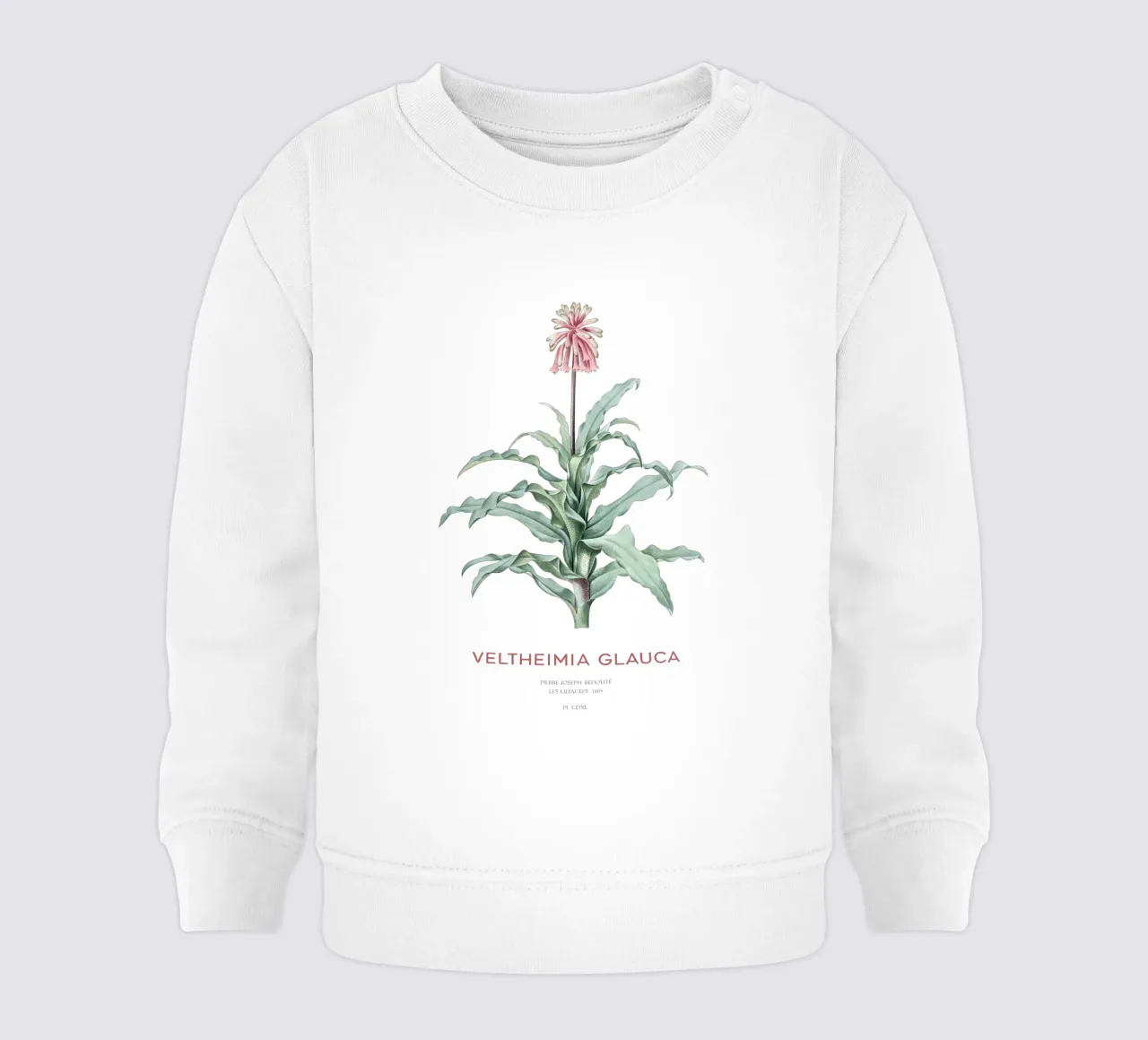 Giglio di bosco o Veltheimia glauca felpa neonato da Vintagrafica