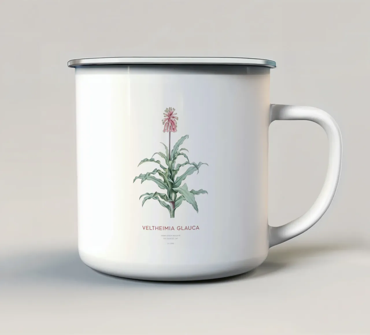 Giglio di bosco o Veltheimia glauca tazza in smalto da Vintagrafica