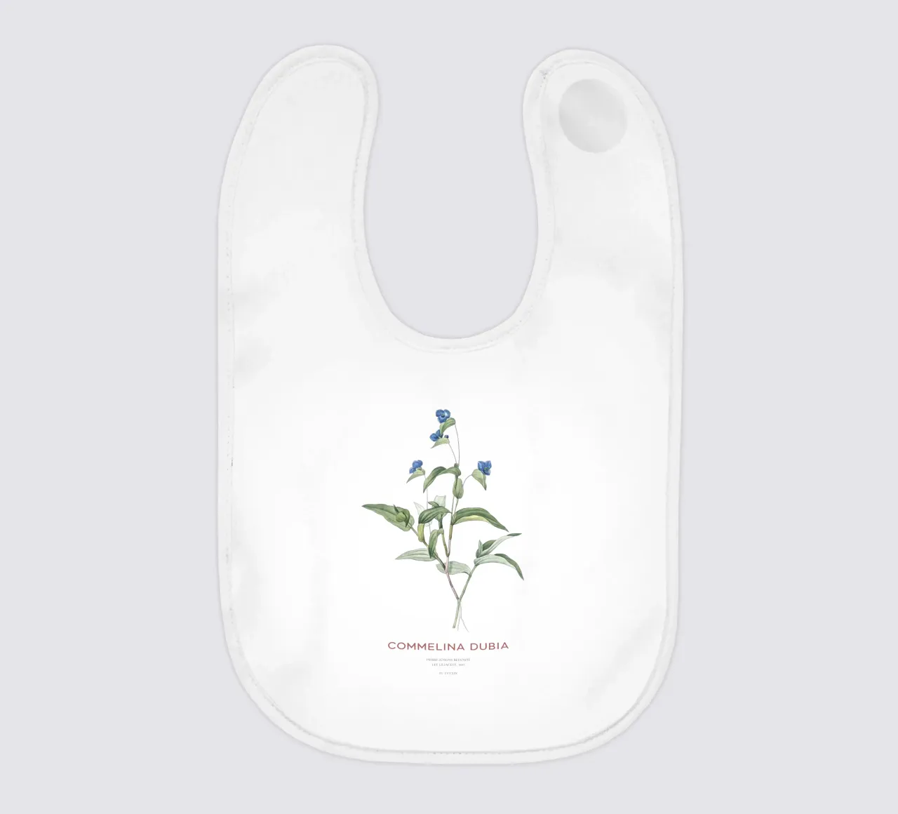 Ragnetto blu o Commelina dubia bavaglino da Vintagrafica