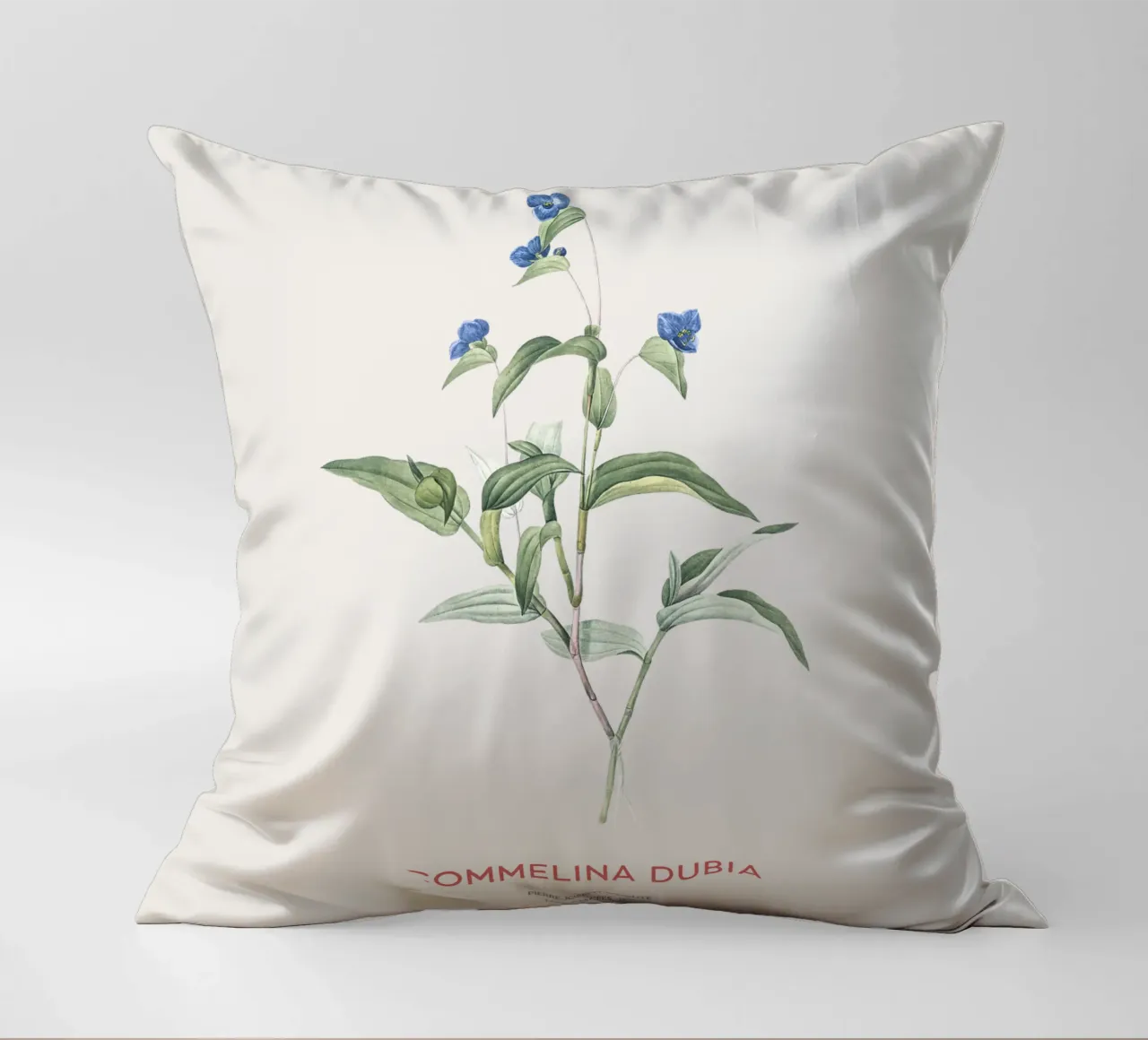 Ragnetto blu o Commelina dubia cuscino da Vintagrafica