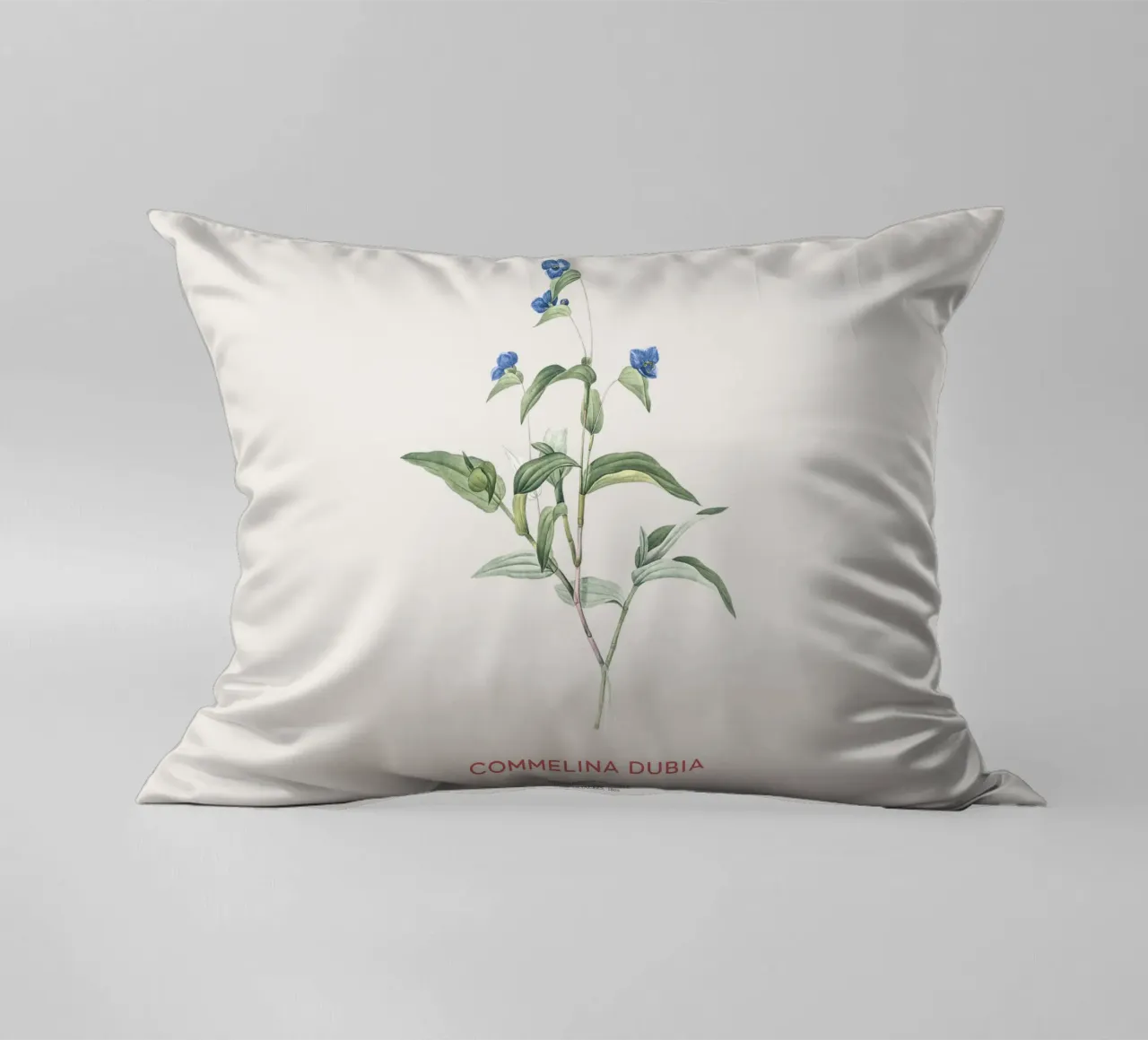 Ragnetto blu o Commelina dubia cuscino da Vintagrafica