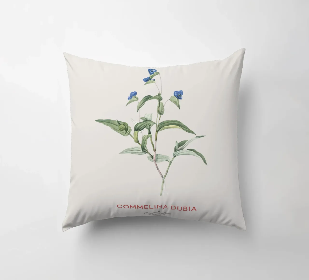 Ragnetto blu o Commelina dubia cuscino da Vintagrafica