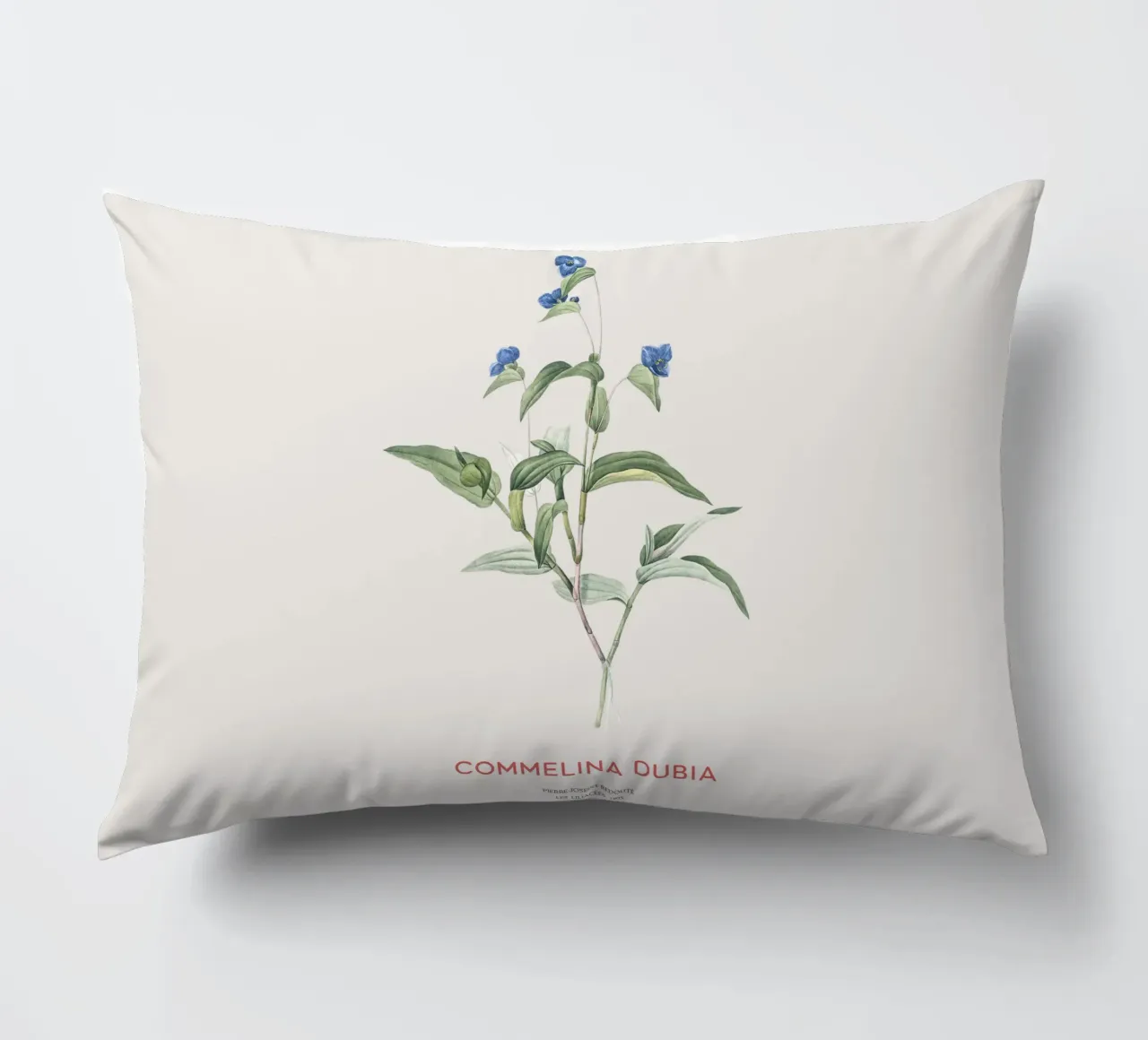 Ragnetto blu o Commelina dubia cuscino da Vintagrafica