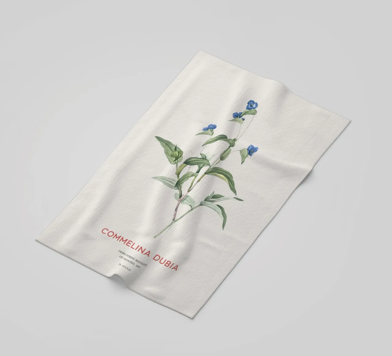 Ragnetto blu o Commelina dubia telo mare da Vintagrafica