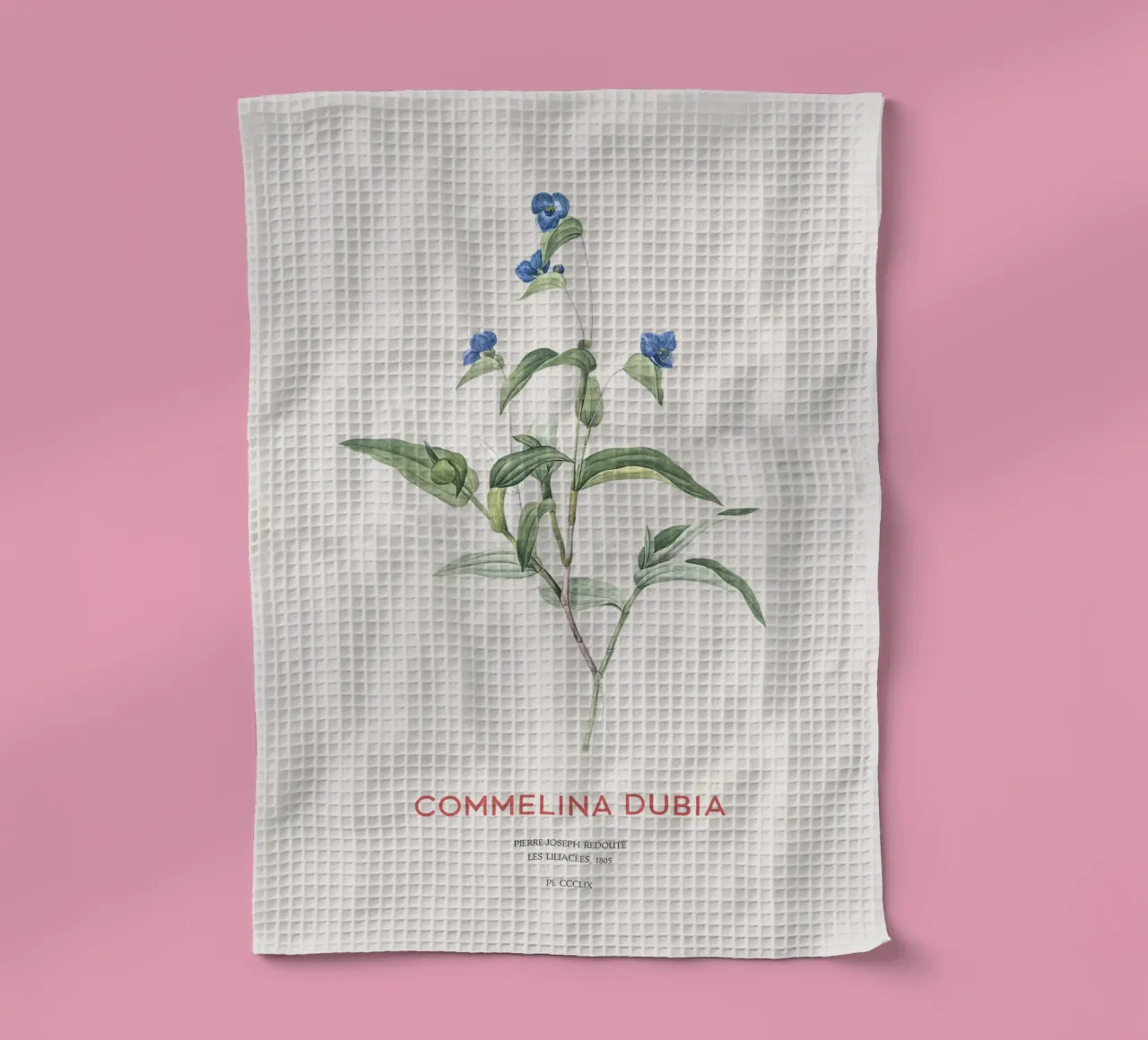 Ragnetto blu o Commelina dubia canovaccio da cucina da Vintagrafica