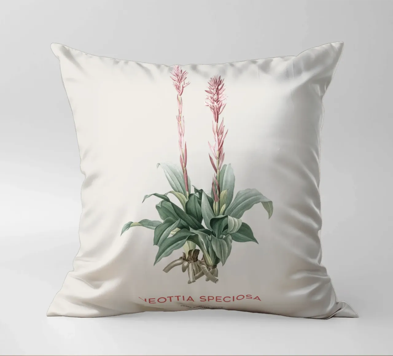 Orchidea signora latinoamericana o Neottia speciosa cuscino da Vintagrafica