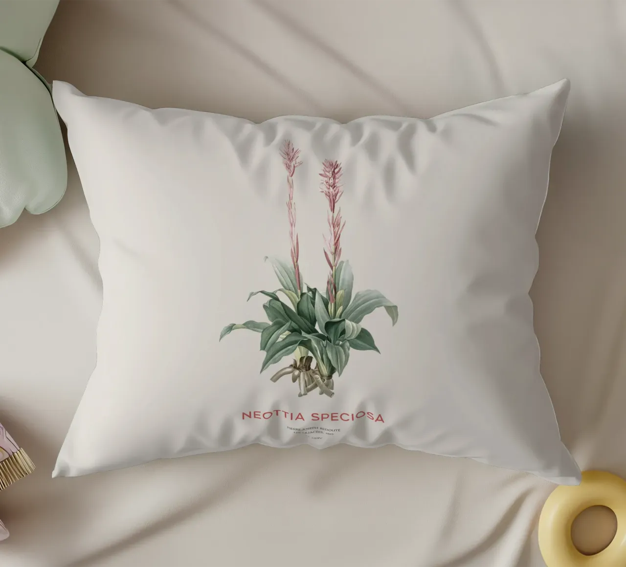 Orchidea signora latinoamericana o Neottia speciosa cuscino da Vintagrafica