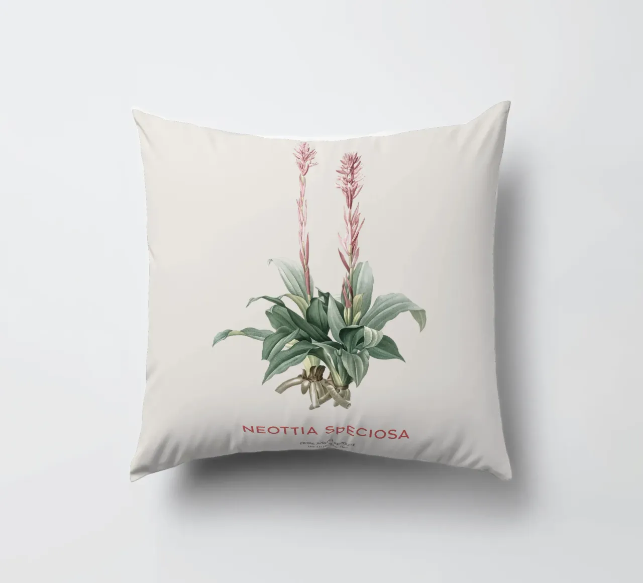 Orchidea signora latinoamericana o Neottia speciosa cuscino da Vintagrafica