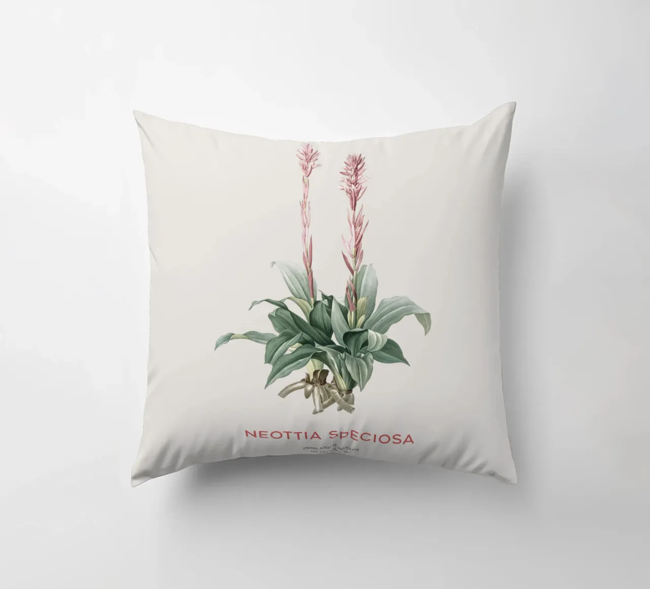 Orchidea signora latinoamericana o Neottia speciosa cuscino da Vintagrafica