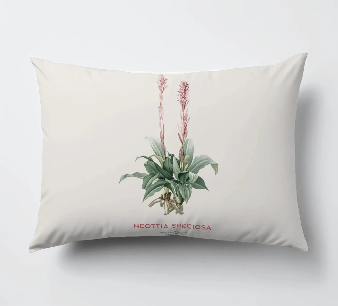 Orchidea signora latinoamericana o Neottia speciosa cuscino da Vintagrafica