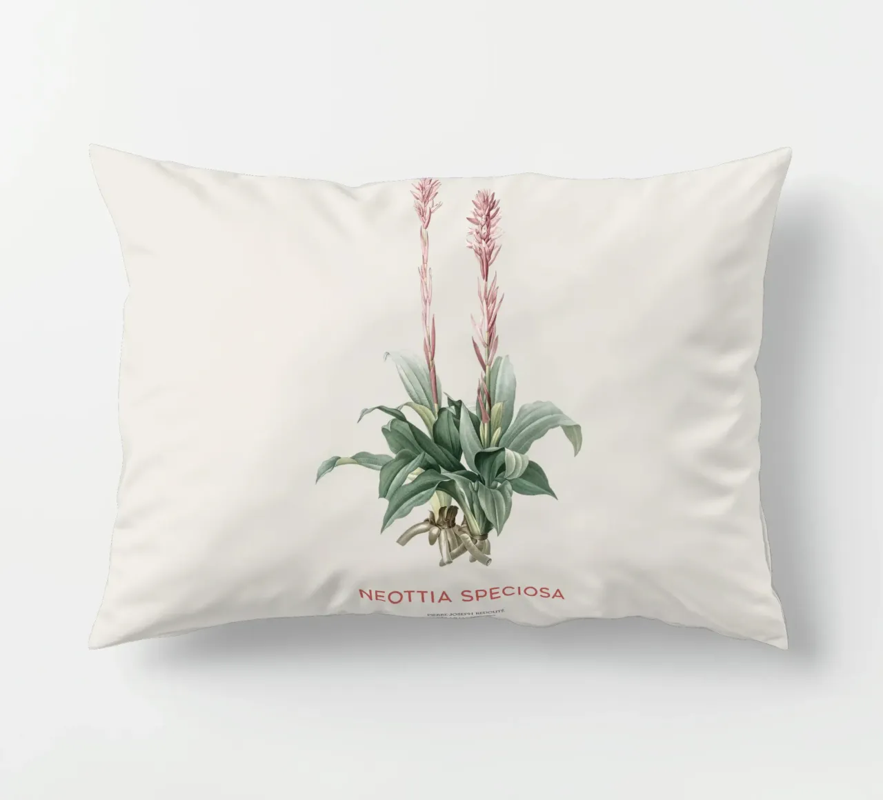 Orchidea signora latinoamericana o Neottia speciosa cuscino da Vintagrafica