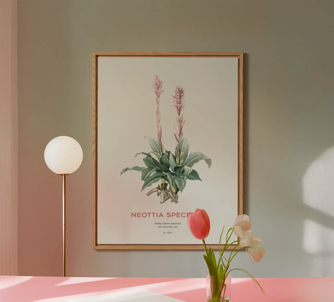 Orchidea signora latinoamericana o Neottia speciosa alluminio dibond da Vintagrafica