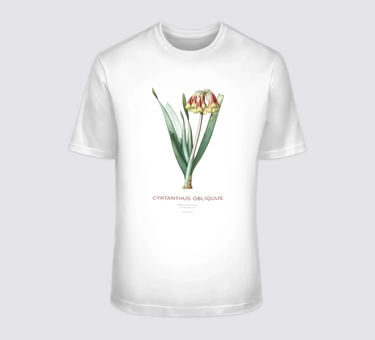 Giglio di Knysna o Cyrtanthus obliquus t-shirt da Vintagrafica