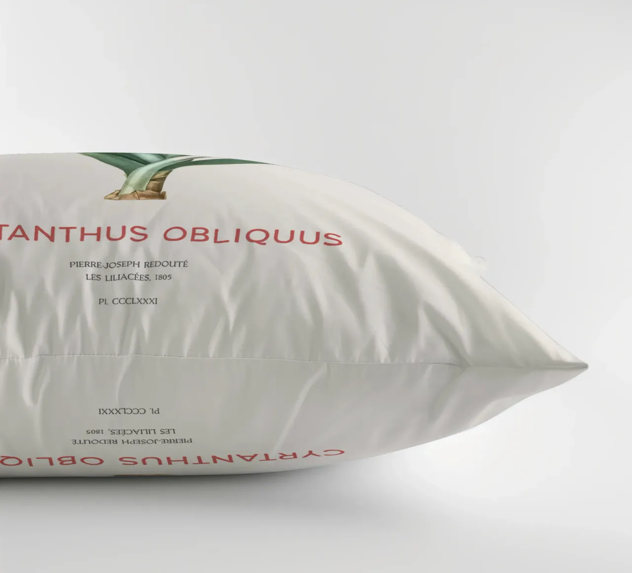 Giglio di Knysna o Cyrtanthus obliquus cuscino da Vintagrafica