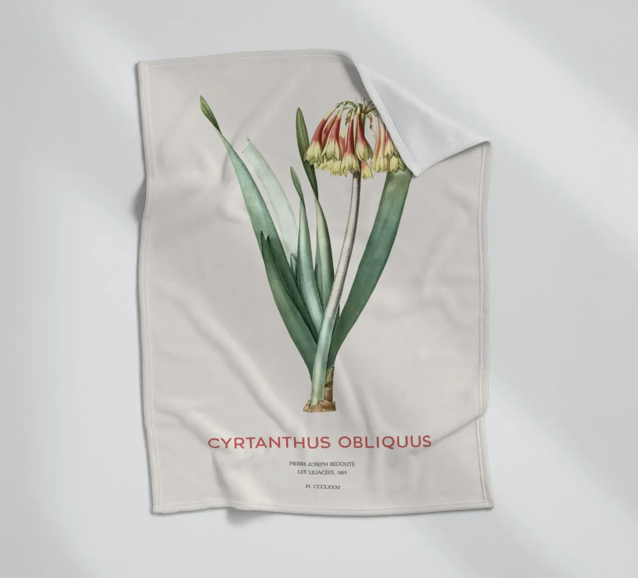 Knysna-Lilie oder Cyrtanthus obliquus Fleecedecke von Vintagrafica