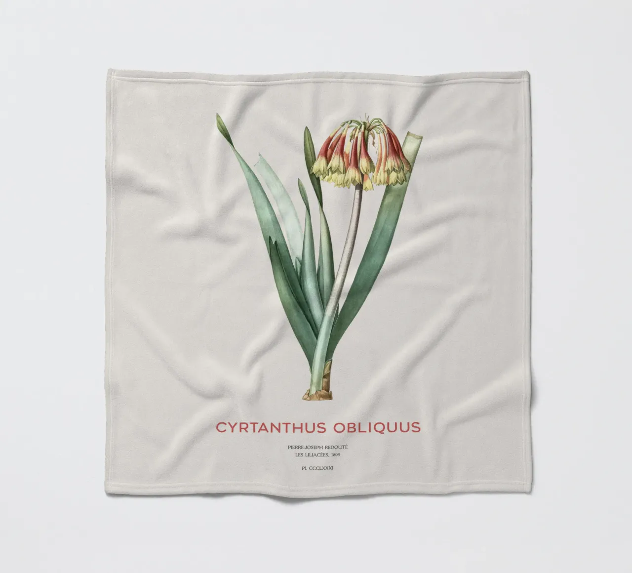 Knysna-Lilie oder Cyrtanthus obliquus Fleecedecke von Vintagrafica