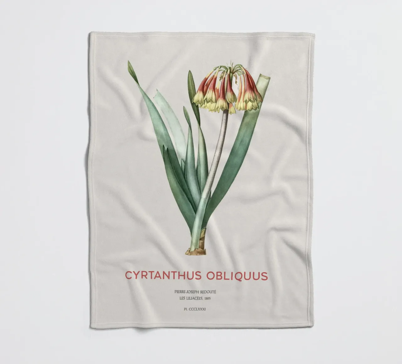 Knysna-Lilie oder Cyrtanthus obliquus Fleecedecke von Vintagrafica