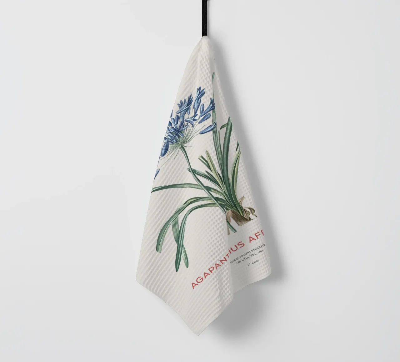 Giglio africano o Agapanthus africanus canovaccio da cucina da Vintagrafica