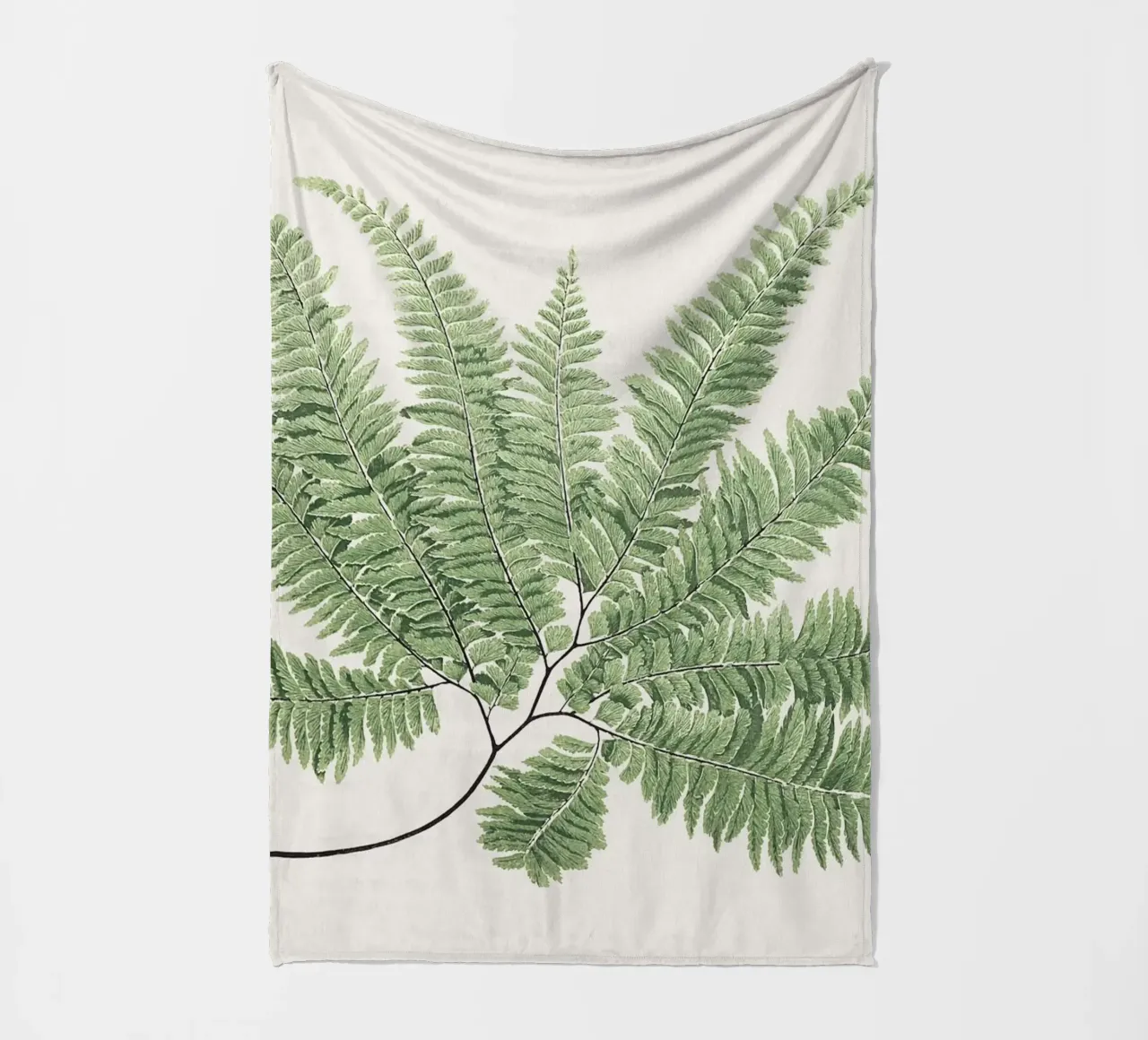 Fern leaves coperta in pile da apoloprints