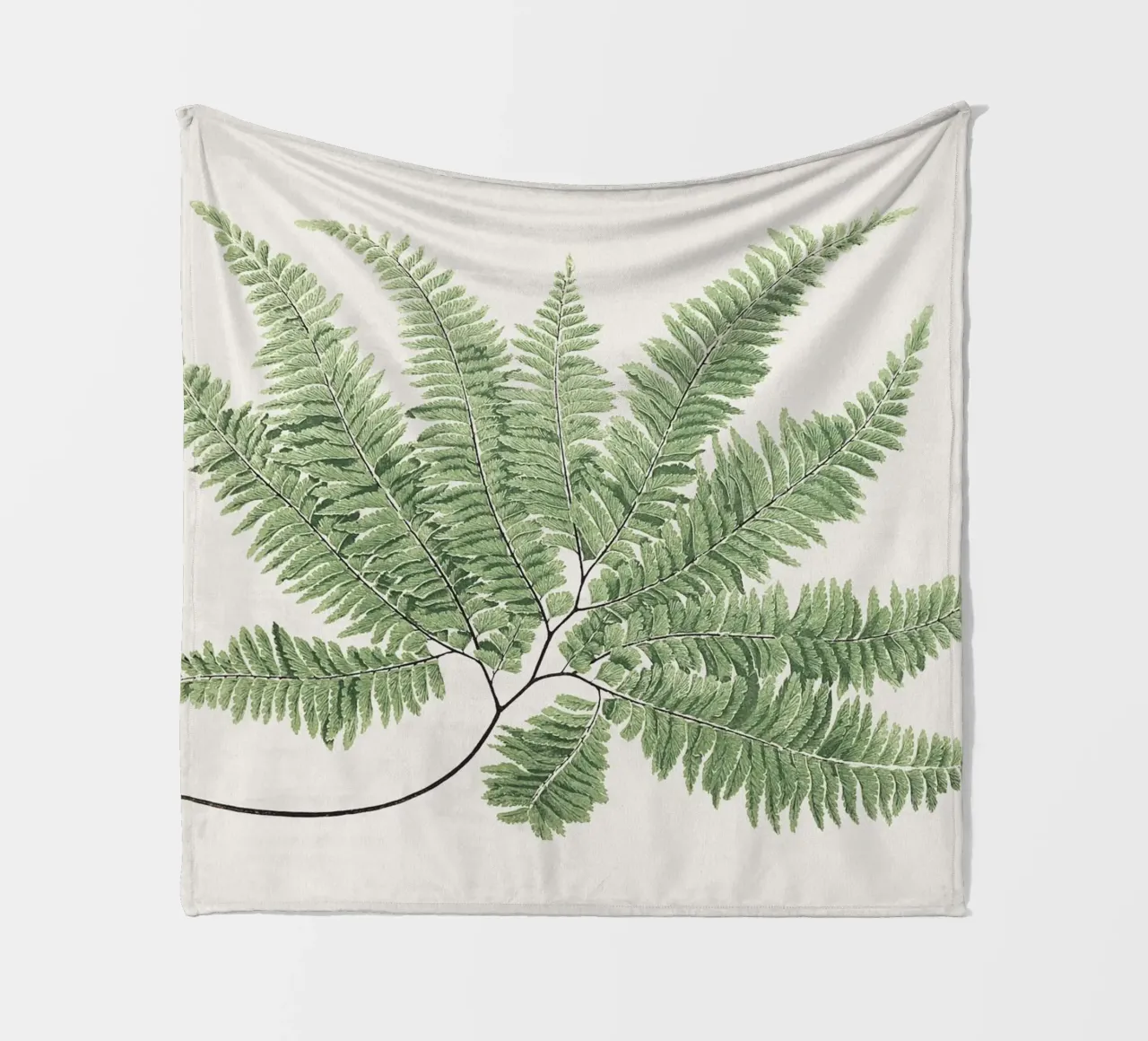Fern leaves coperta in pile da apoloprints