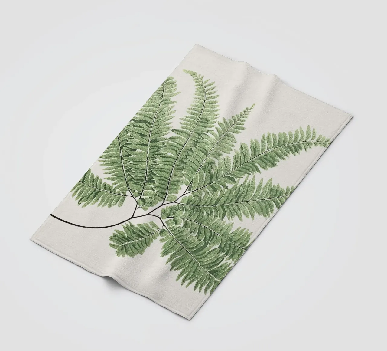 Fern leaves coperta in pile da apoloprints