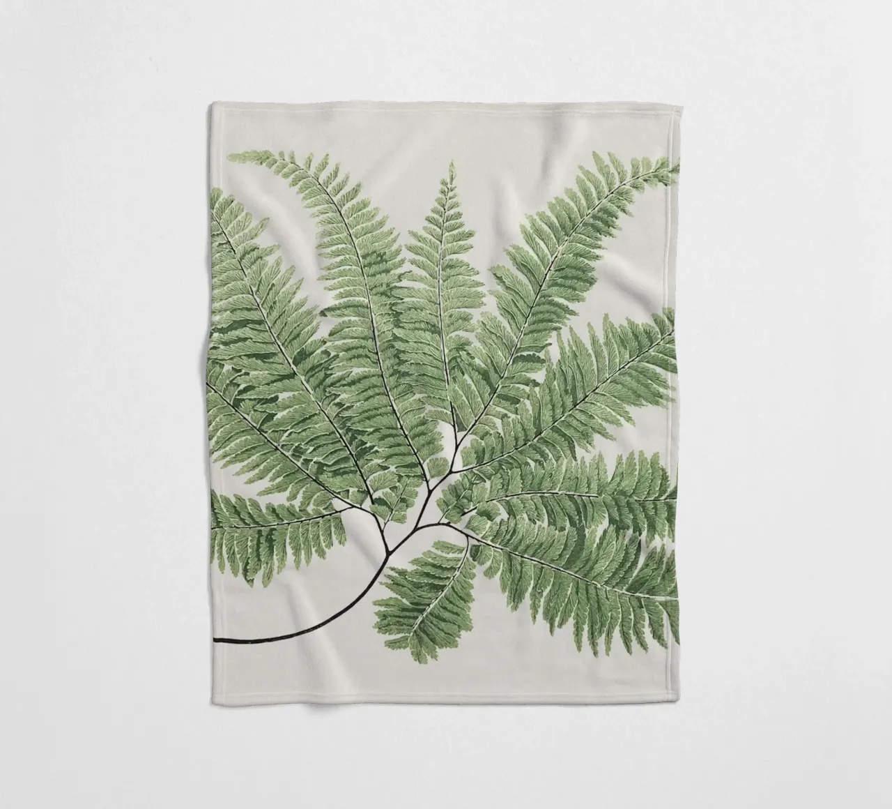 Fern leaves coperta in pile da apoloprints