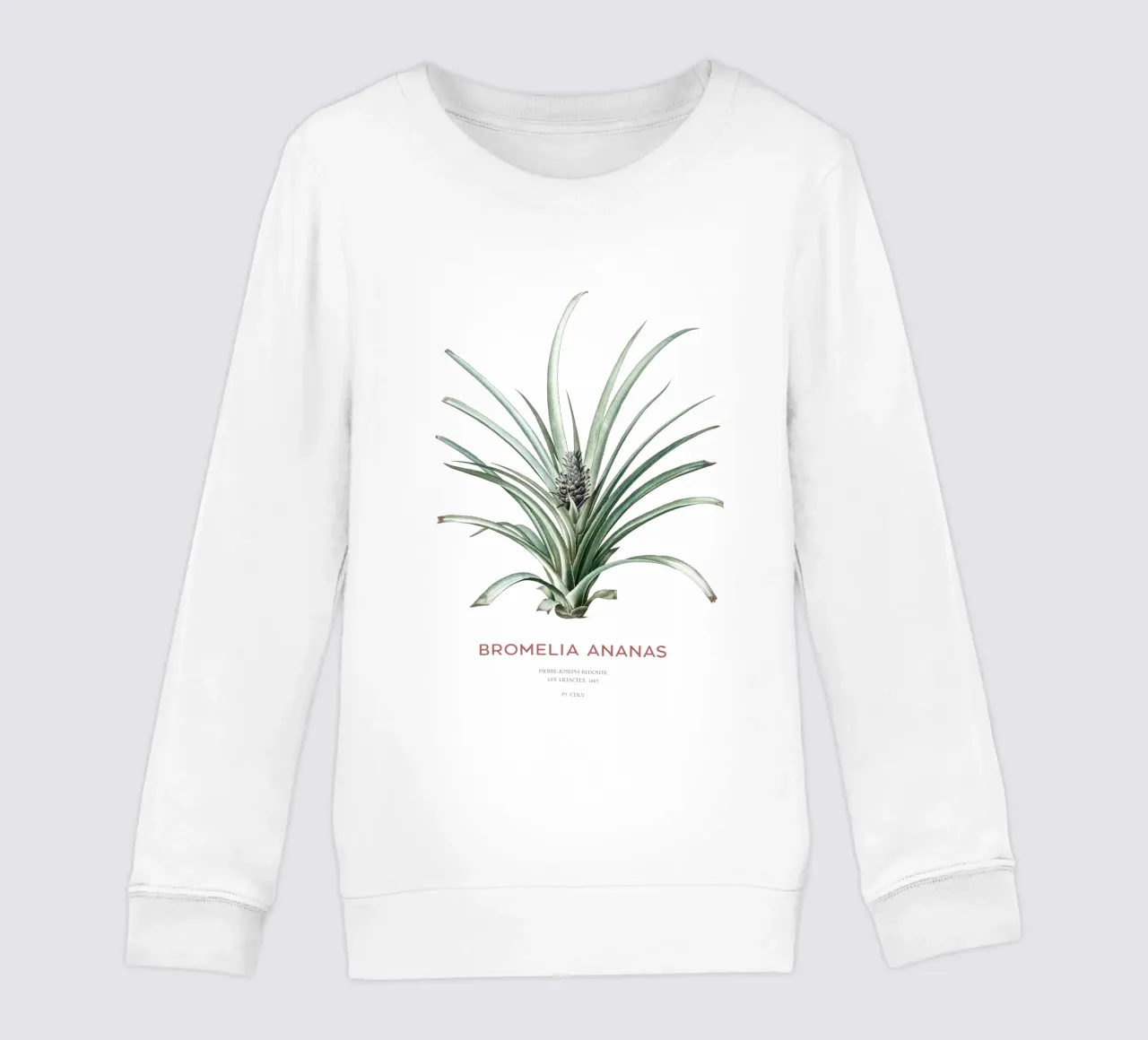 Ananas o Bromelia ananas felpa bambino da Vintagrafica