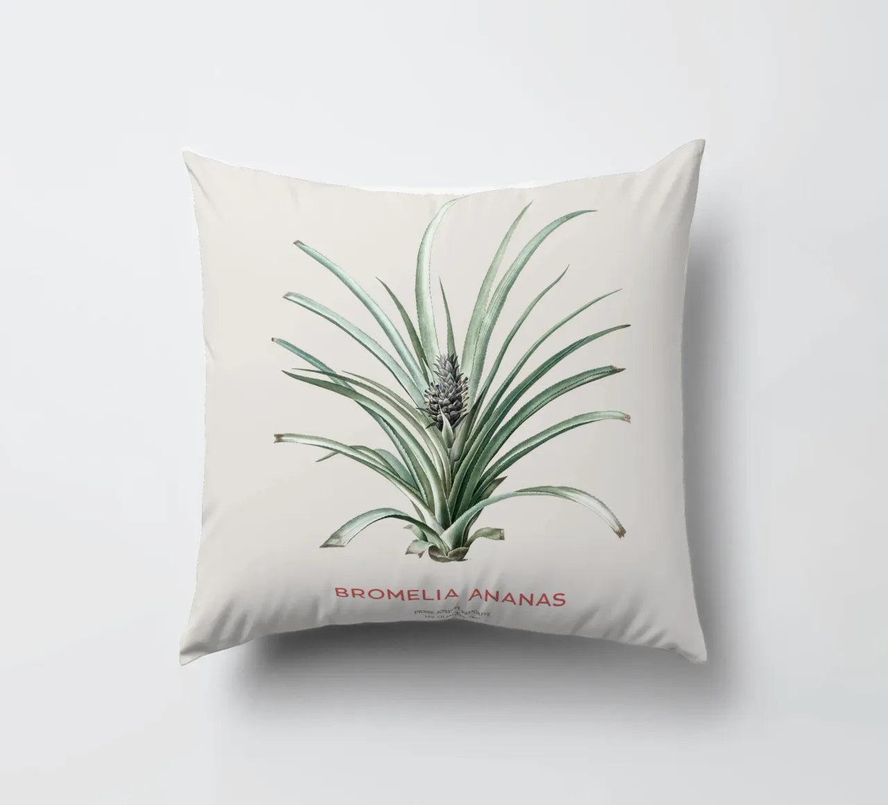 Ananas o Bromelia ananas cuscino da Vintagrafica
