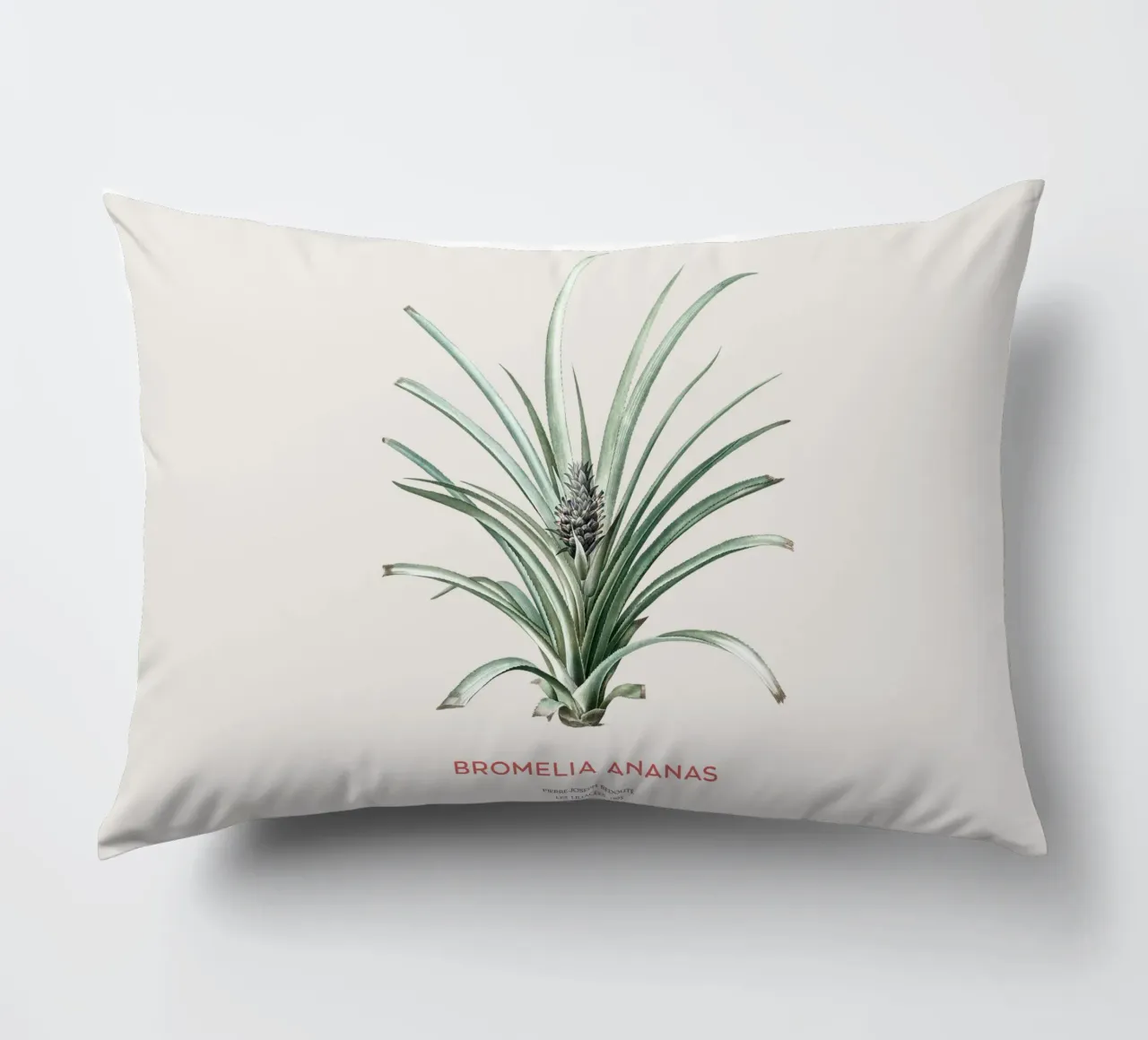 Ananas o Bromelia ananas cuscino da Vintagrafica