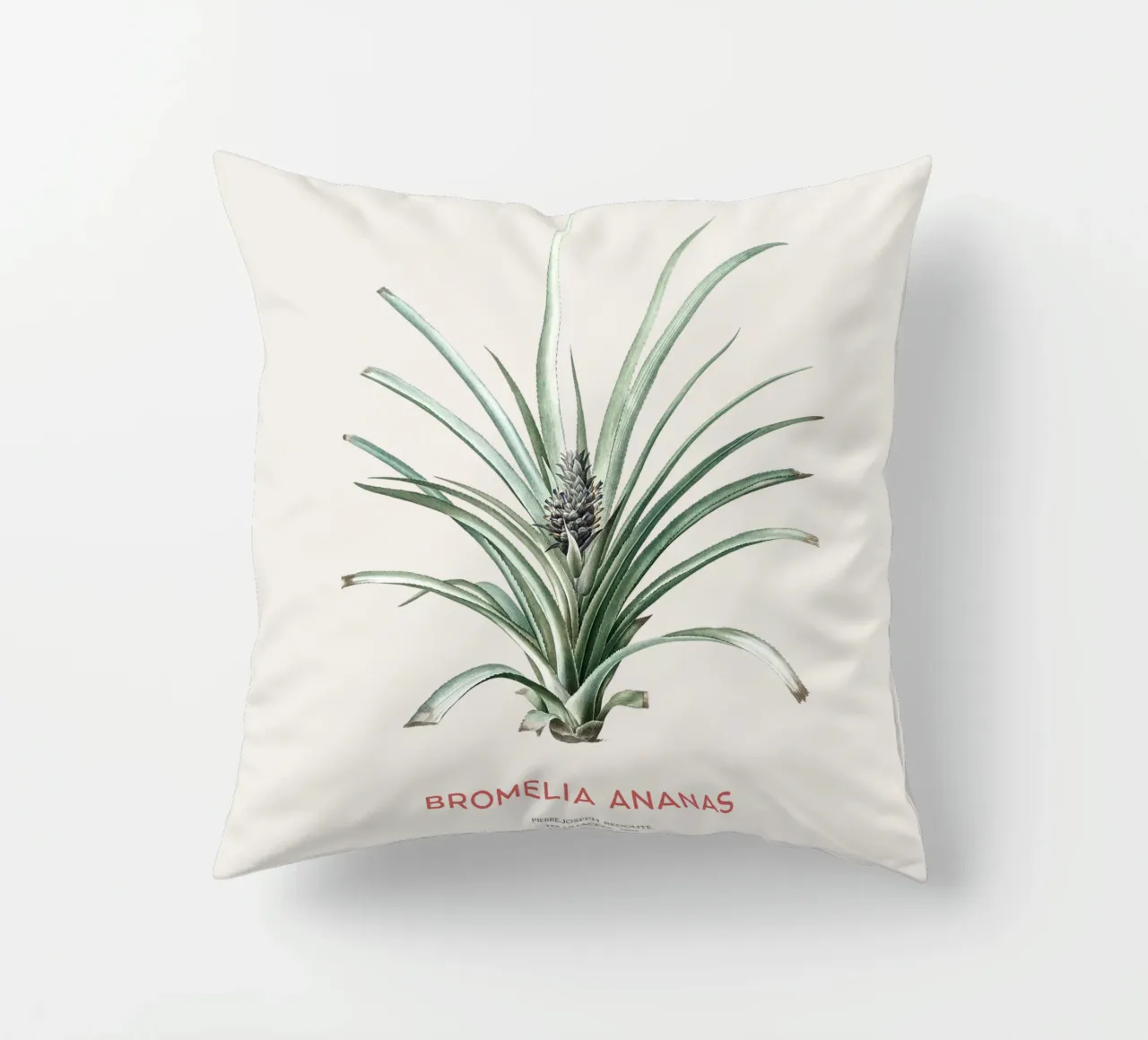 Ananas o Bromelia ananas cuscino da Vintagrafica