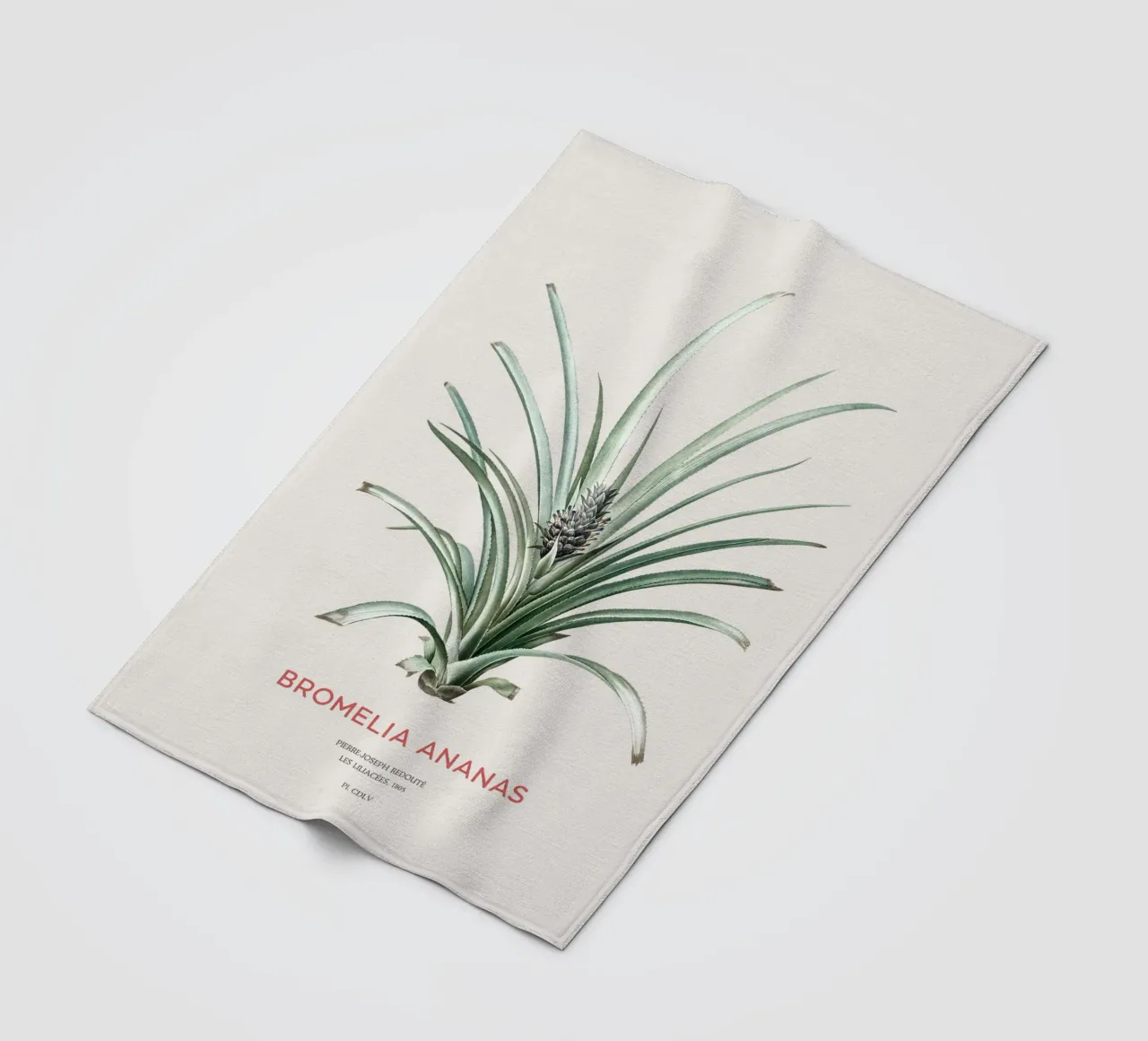 Ananas oder Bromelia ananas Fleecedecke von Vintagrafica
