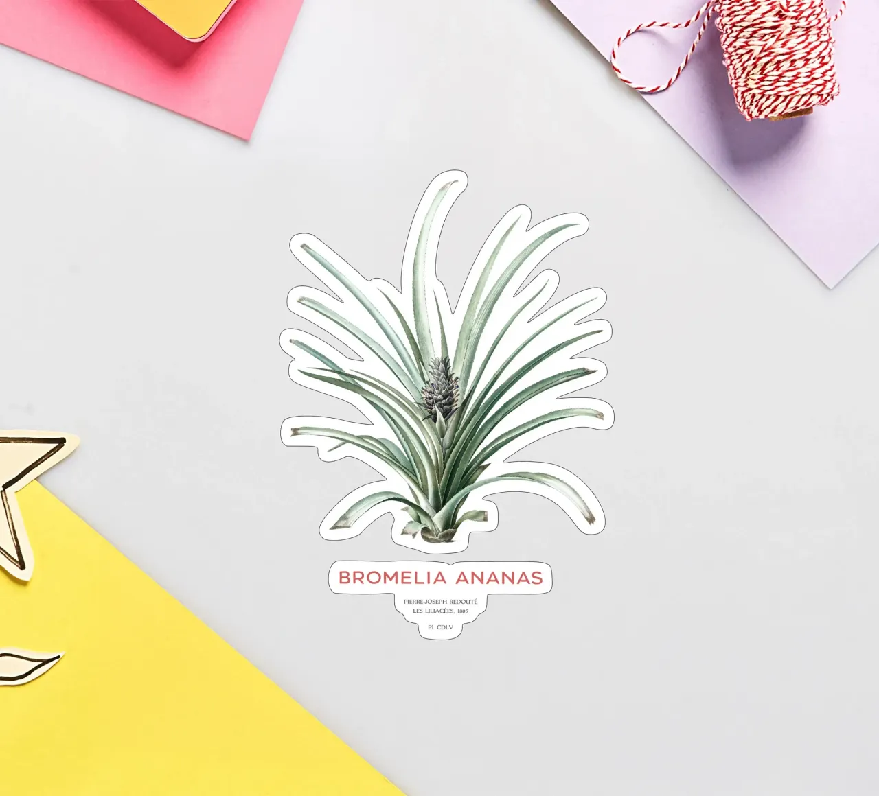 Ananas of Bromelia ananas sticker van Vintagrafica