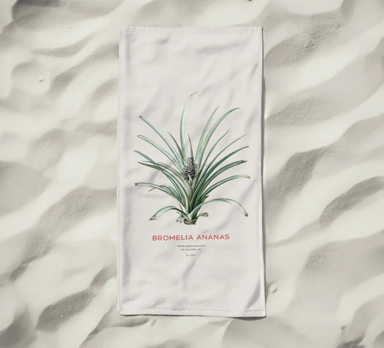 Ananas o Bromelia ananas telo mare da Vintagrafica