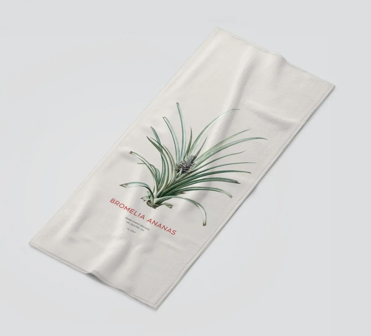 Ananas o Bromelia ananas telo mare da Vintagrafica
