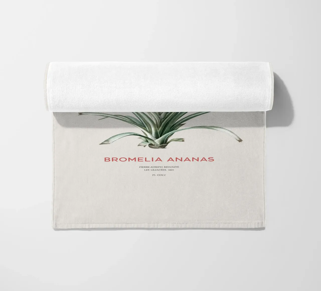 Ananas o Bromelia ananas telo mare da Vintagrafica