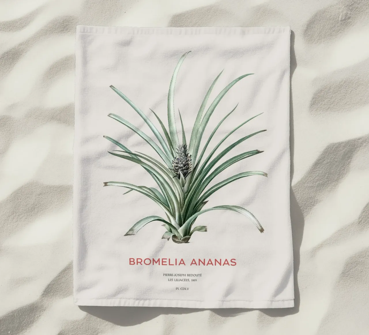Ananas o Bromelia ananas telo mare da Vintagrafica