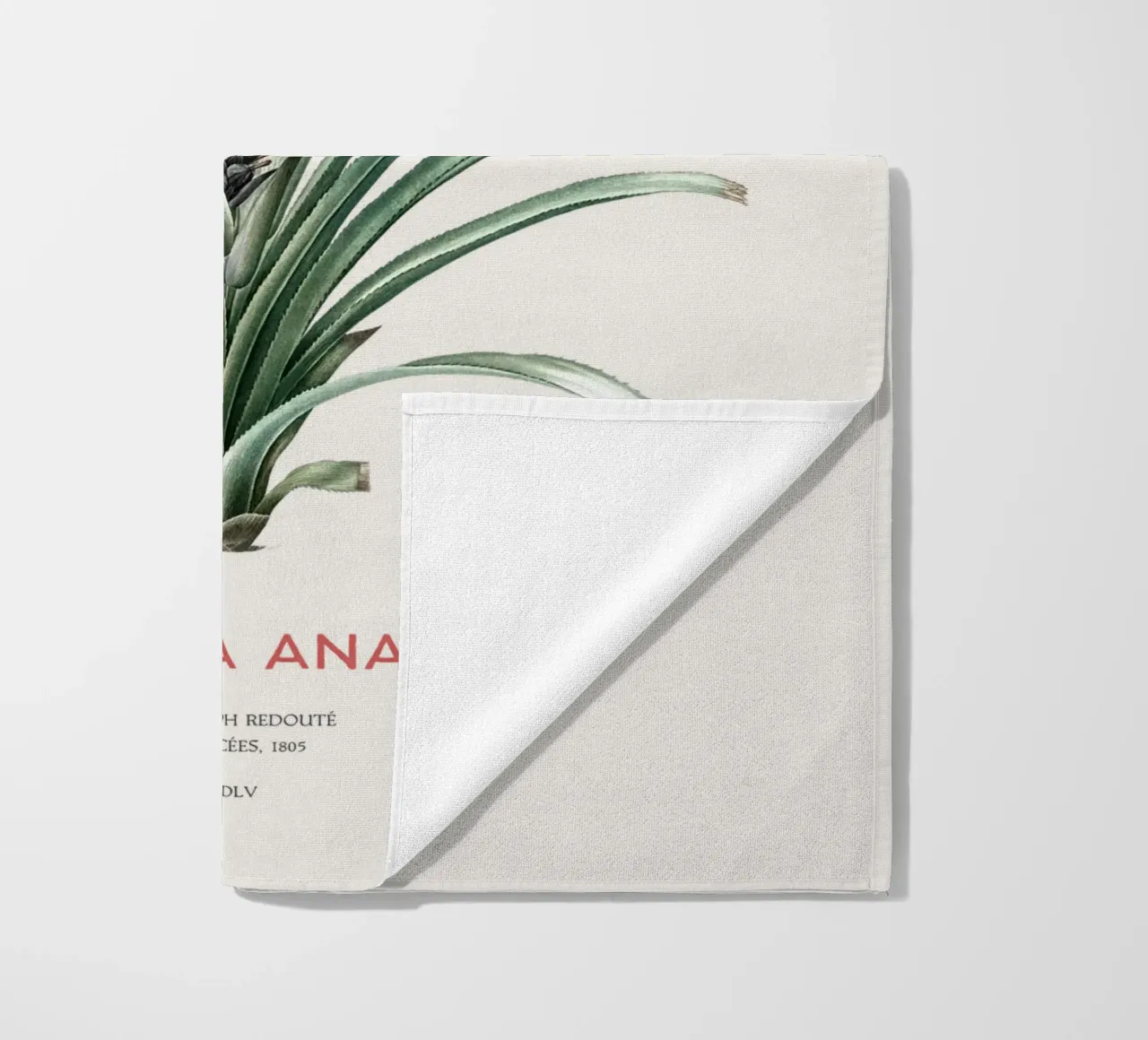 Ananas o Bromelia ananas telo mare da Vintagrafica