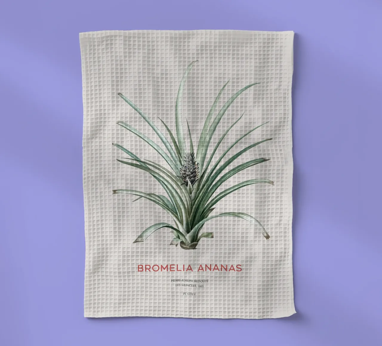 Ananas oder Bromelia ananas Geschirrtuch von Vintagrafica