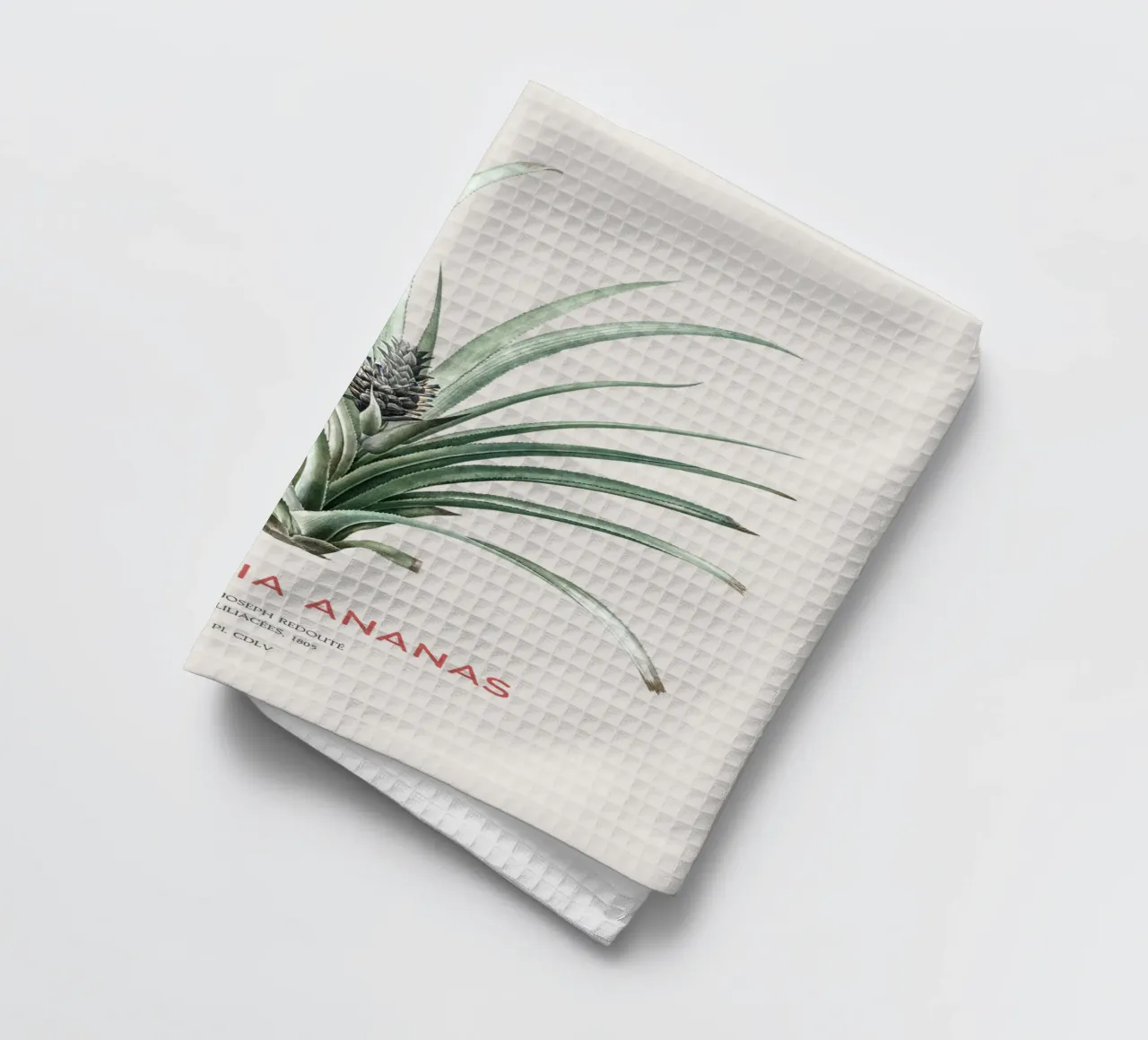 Ananas oder Bromelia ananas Geschirrtuch von Vintagrafica